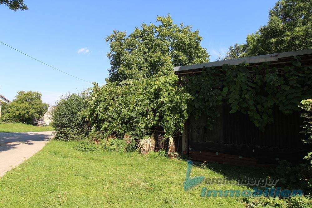***Grundstück mit Obstgarten und Schuppen Nähe Landau/Isar***, 94405 Landau a.d. Isar (Landau)