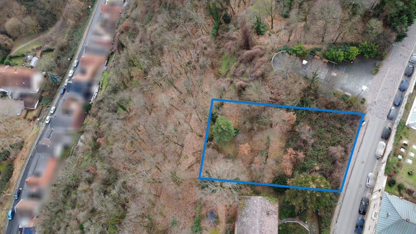 Einmaliges Baugrundstück – unvergleichliche Aussicht und seltene Gelegenheit, 67098 Bad Dürkheim