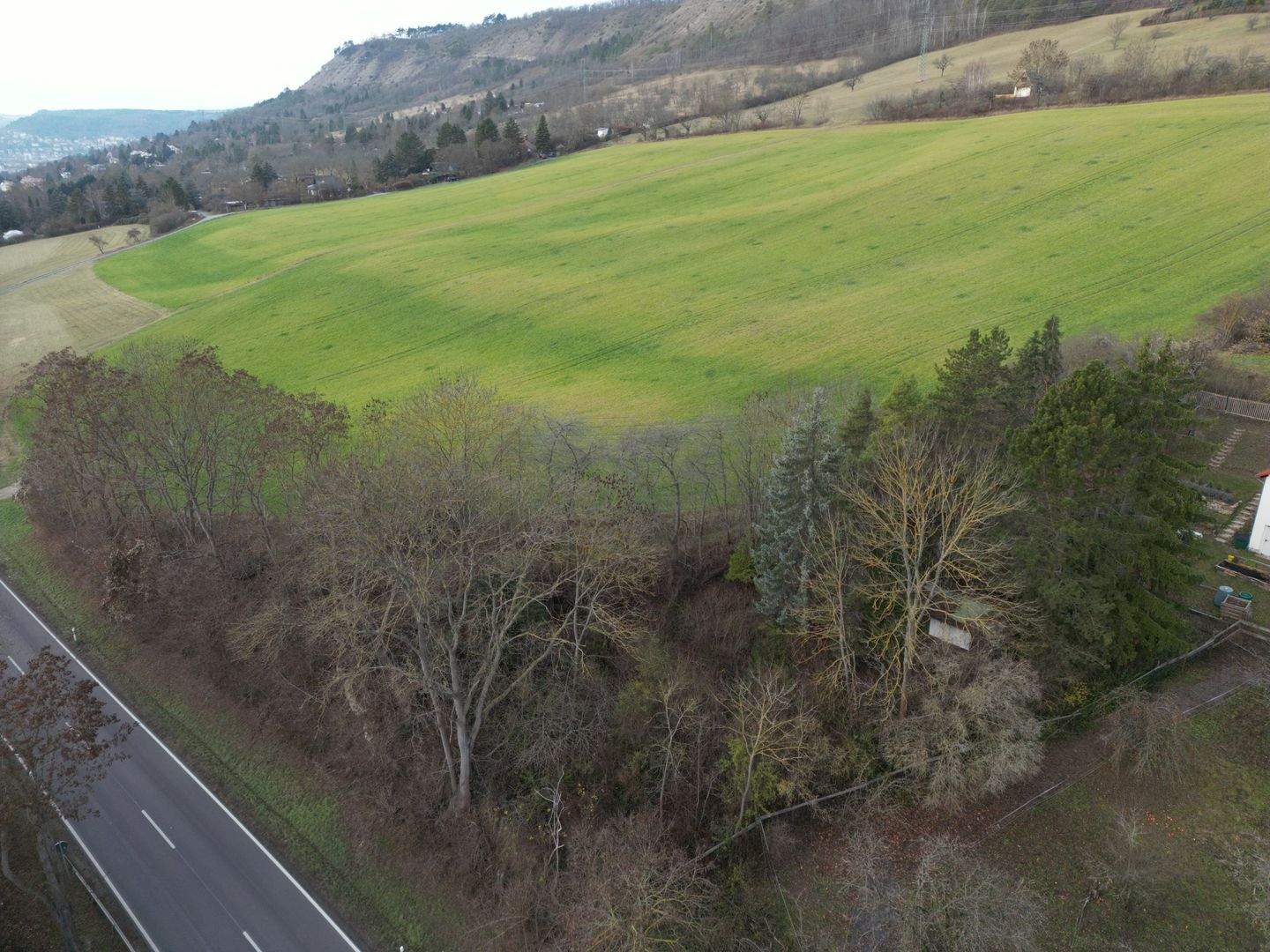 Freizeitgrundstück an der Eisenberger Straße sucht neuen Eigentümer, 7749 Jena