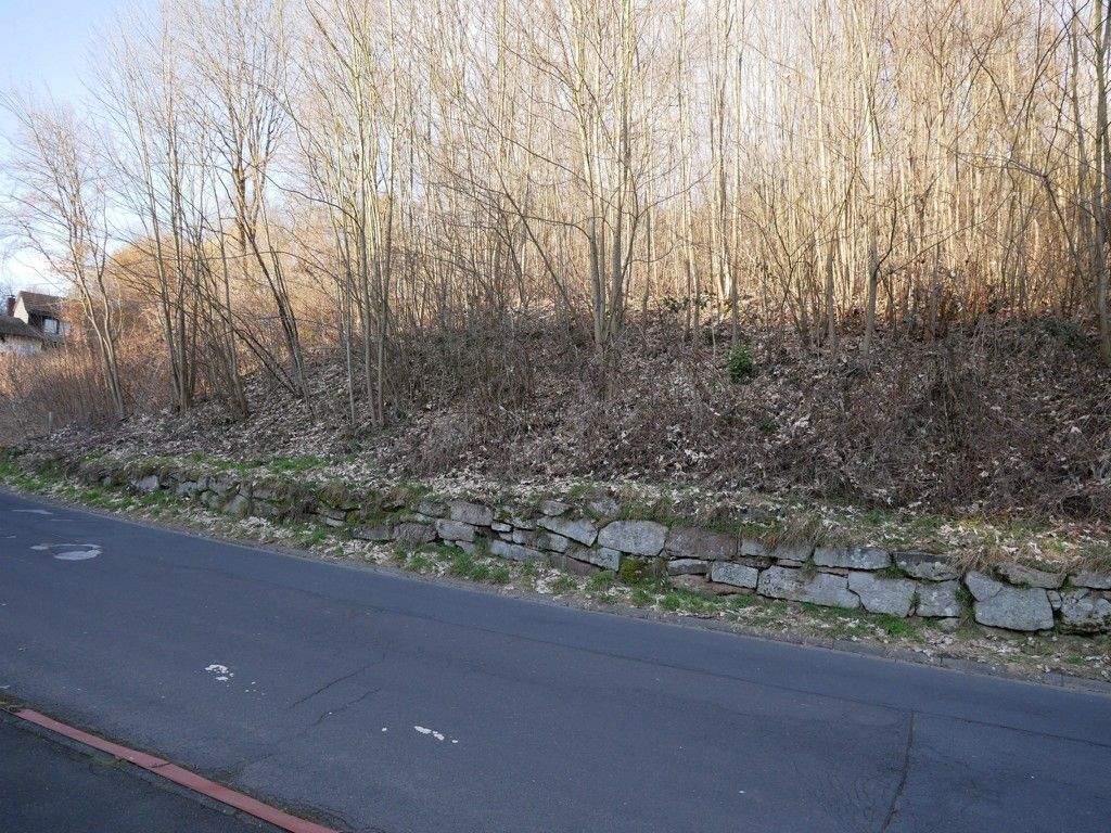 großzügiges Baugrundstück in Bad Brückenau, 97769 Bad Brückenau