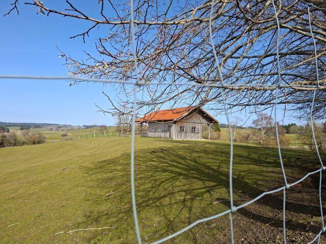 Damwildgehege mit Versorgungshütte in „Remnatsried“ Stötten am Auerberg, 87675 Stötten a. Auerberg