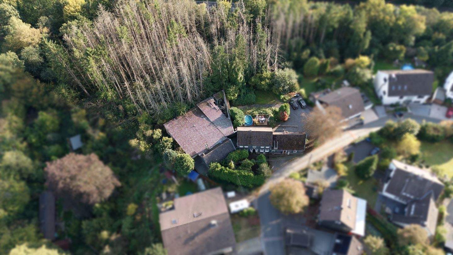 Baugrundstück mit positiver Bauvoranfrage für 4 Doppelhaushälften und großem Waldgrundstück, 42349 Wuppertal (Cronenberg)