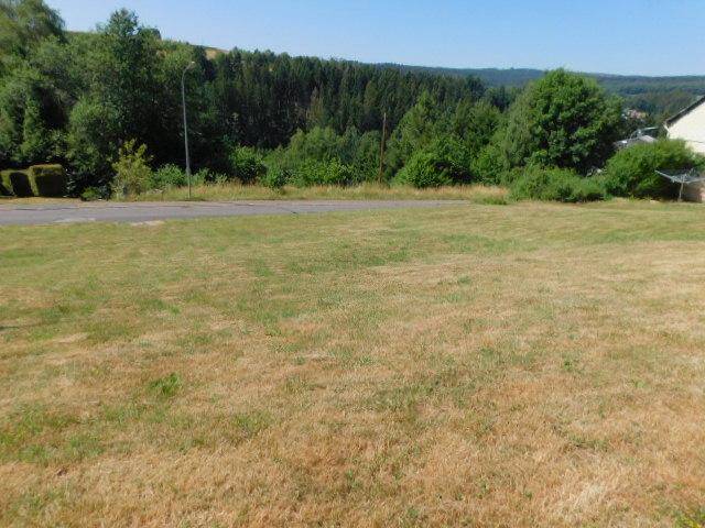 wohnen im Naturpark Hunsrück-Hochwald – erschlossenes 806qm großes Baugrundstück in unverbaubarer Lage, 54422 Neuhütten