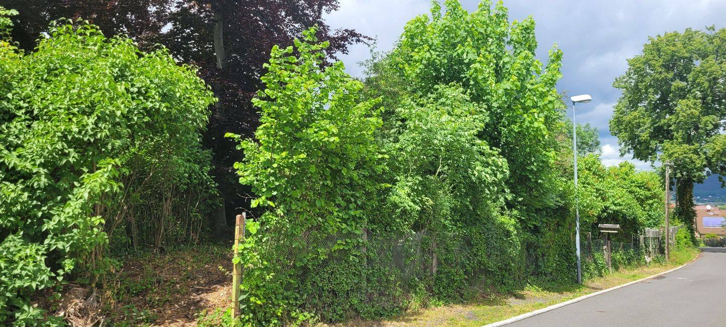 Großzügiges Baugrundstück in herrlich ruhiger Lage in der Saalfelder Südstadt zu verkaufen, 7318 Saalfeld/Saale