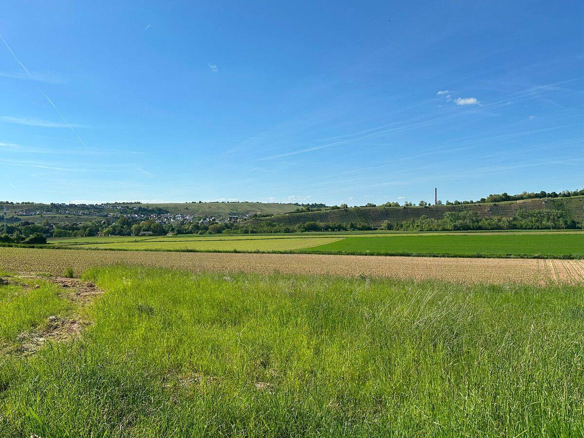 Einmaliges Grundstück in Feldrandlage – sofort bebaubar – kein Bauzwang, 74354 Besigheim