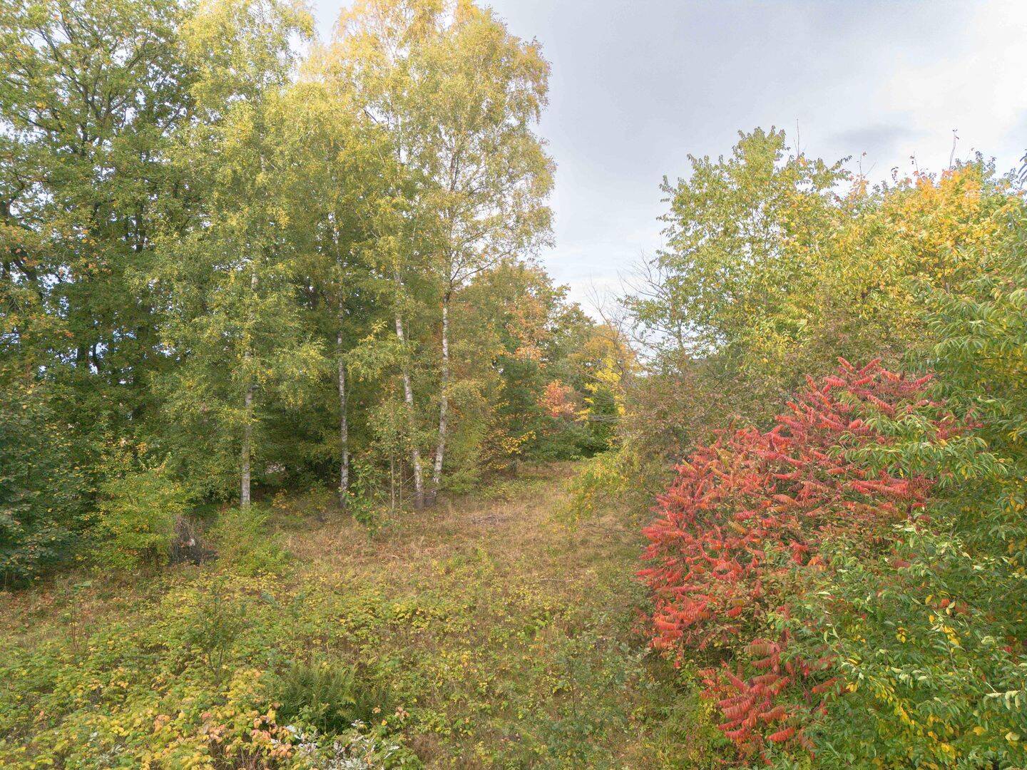 Großzügiges Baugrundstück in attraktiver Lage von Quickborn, 25451 Quickborn