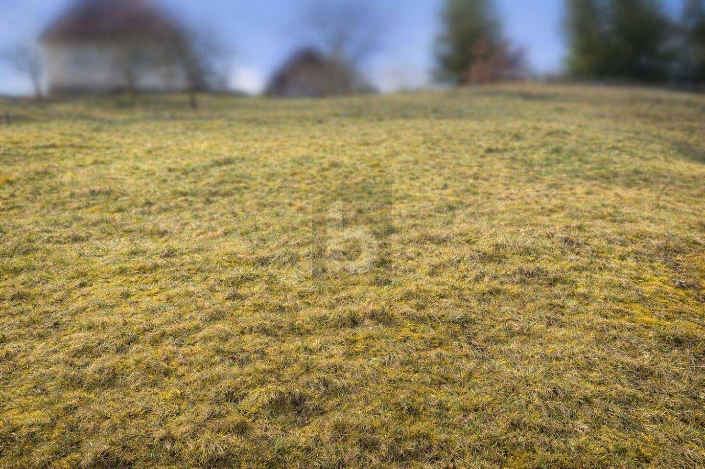 NATURNAH BAUEN IN BAIERSBRONN, 72270 Baiersbronn