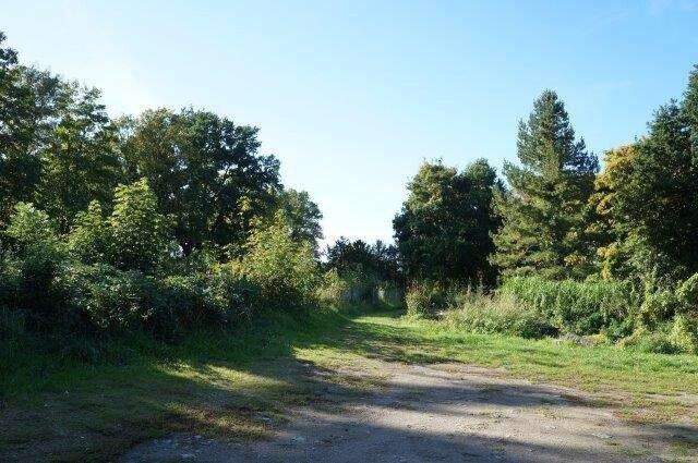 Baugrundstückt für Wohnbebaung mit B-Plan in Top Lage der Hansestadt Wismar (Var. 2), 23970 Wismar