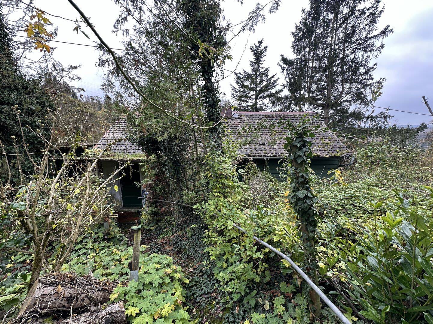 Seltenes Garten-, Wald- und Freizeitgrundstück in Würzburg Oberdürrbach!, 97080 Würzburg (Altstadt Dürrbachau Grombühl Oberdürrbach Unterdürrbach)
