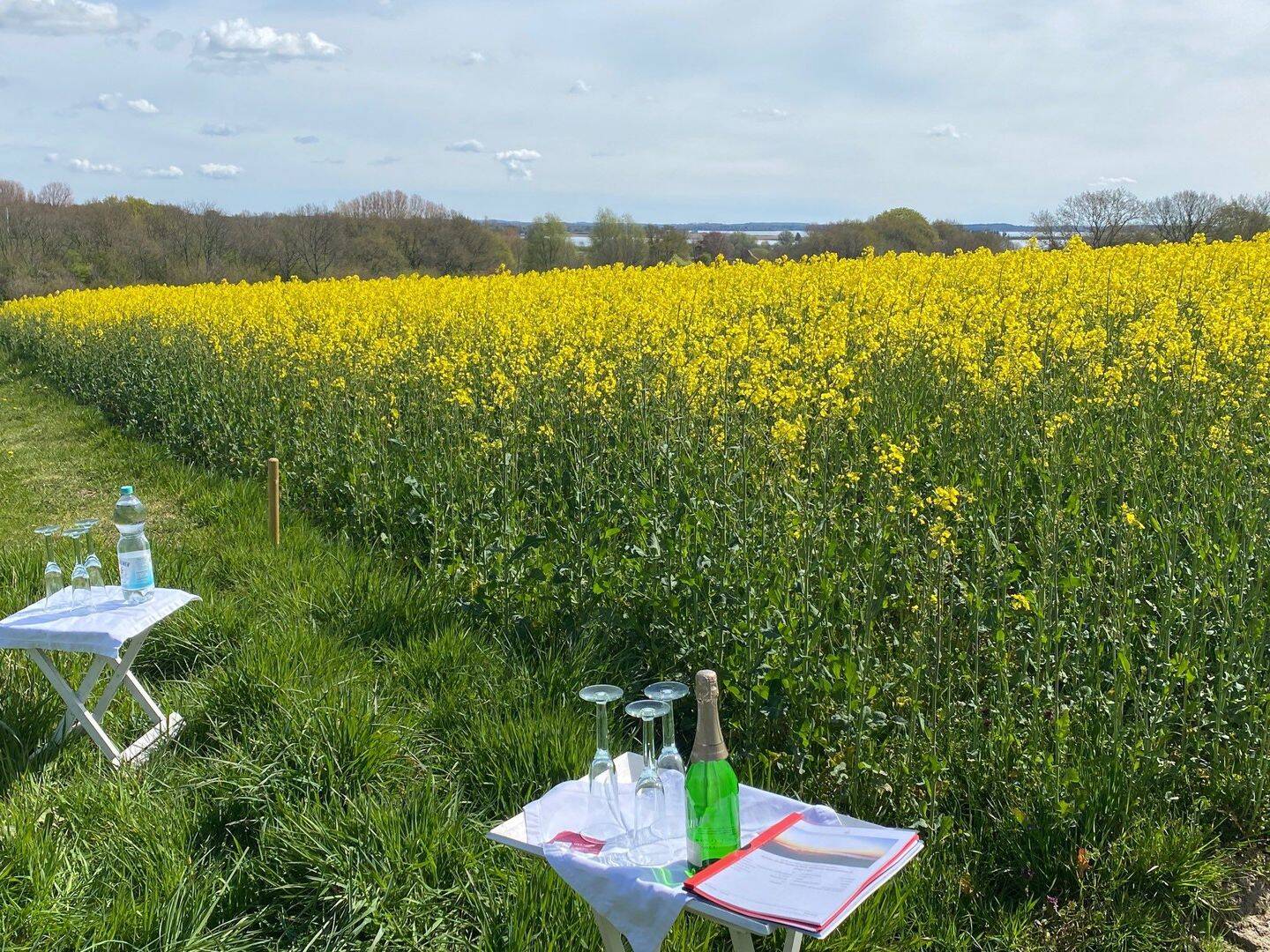 Schleswig – Baugrundstück mit Schleiblick – der ideale Ort für Ihr Eigenheim, 24837 Schleswig