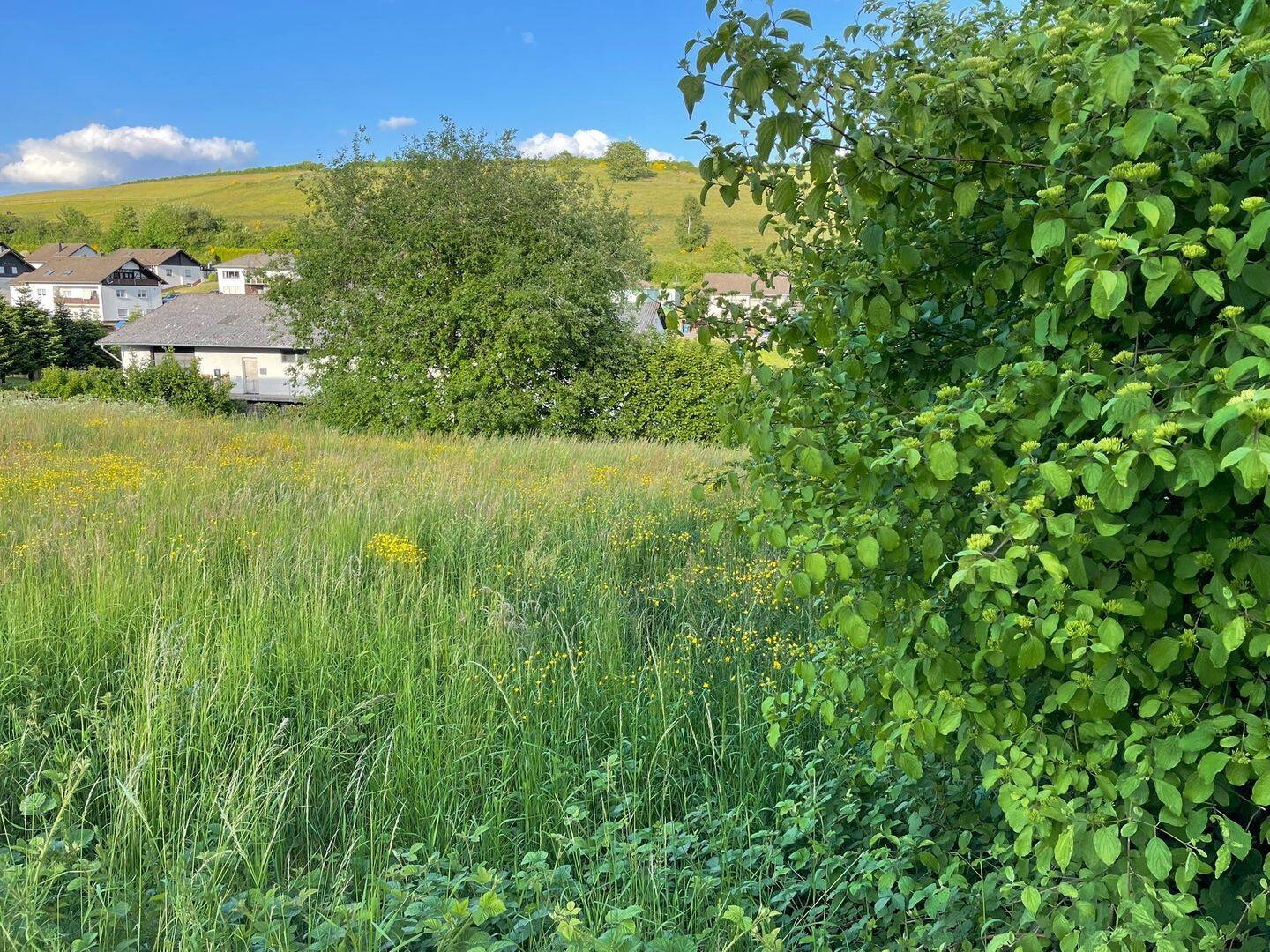 **Baugrundstück in Burbach-Eifel zu kaufen**, 54597 Burbach