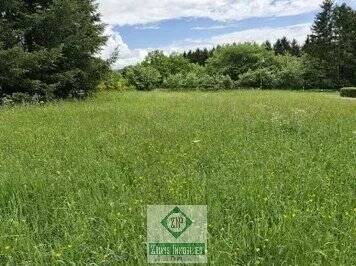 Baugrundstück mit 1820 m² in Weinsfeld-Prüm, 54595 Prüm