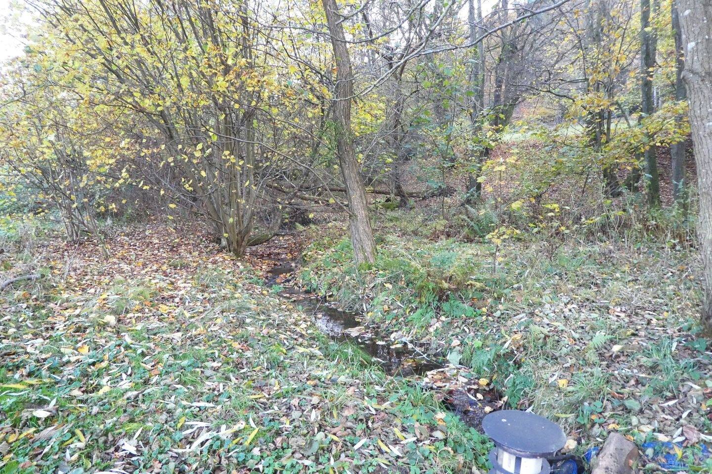 GANESHA-IMMOBILIEN…großer Bauplatz in naturnaher Lage zu verkaufen !, 64732 Bad König