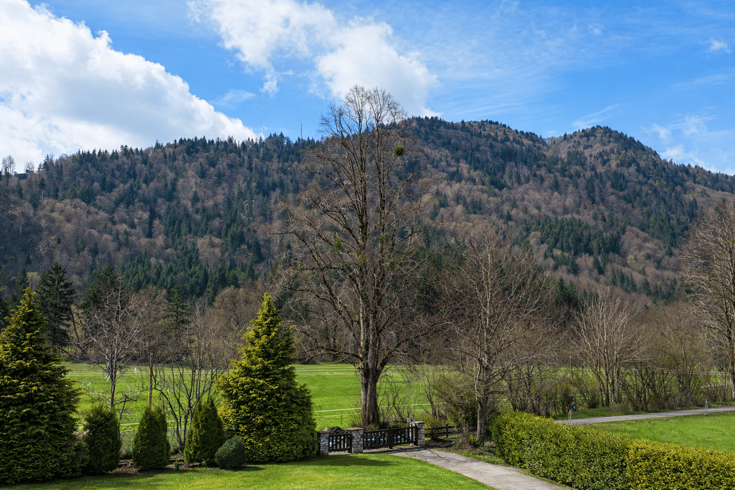 Alpenblick. Ruhe. Exklusivität. Ein Baugrundstück in privilegierter Lage., 83700 Kreuth