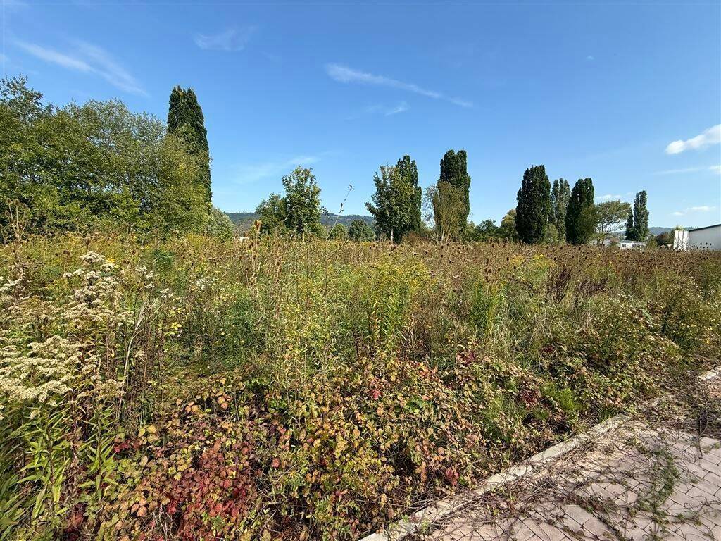 Großes Baugrundstück in Witzenhausen – Am Katharinenhof, 37213 Witzenhausen