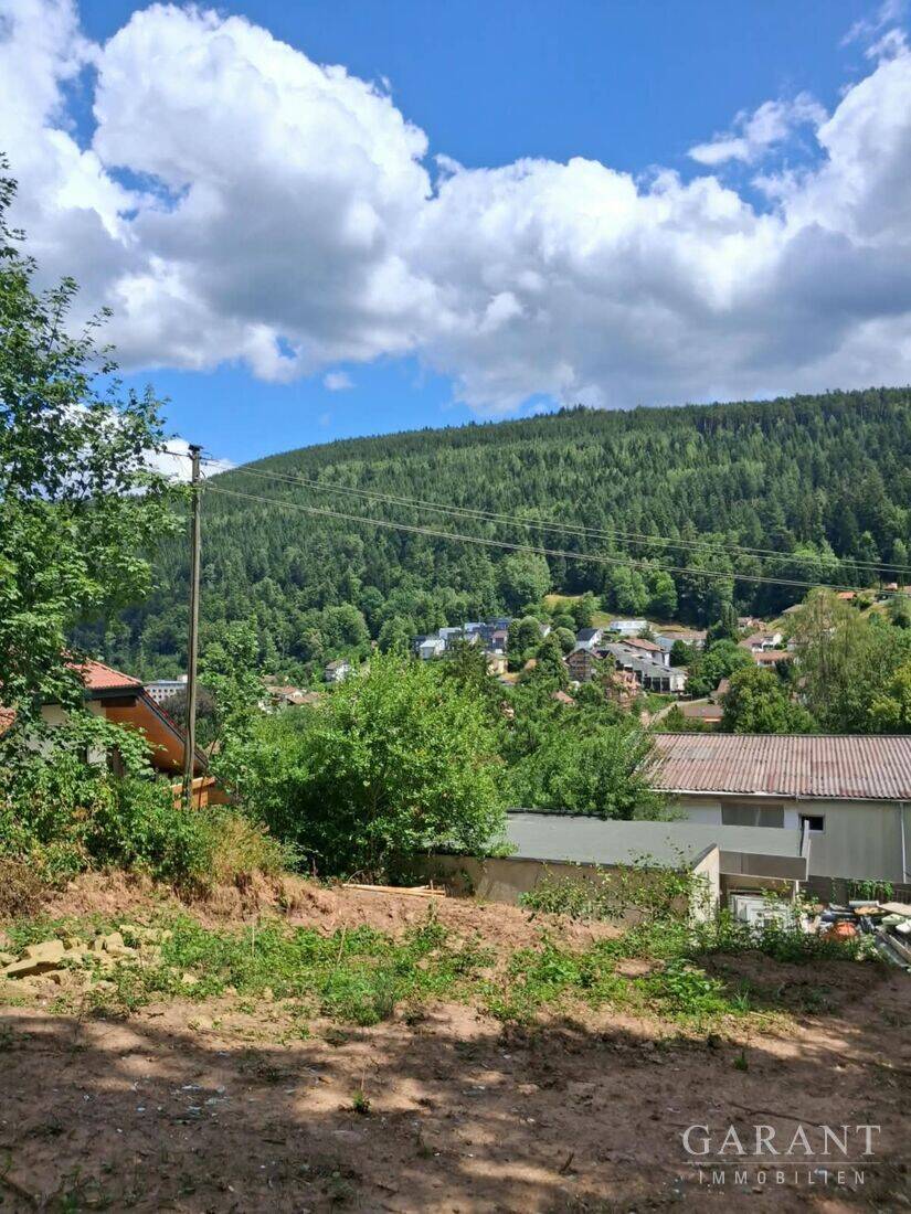 Grundstück in Höhenlage von Bad Wildbad, 75323 Bad Wildbad