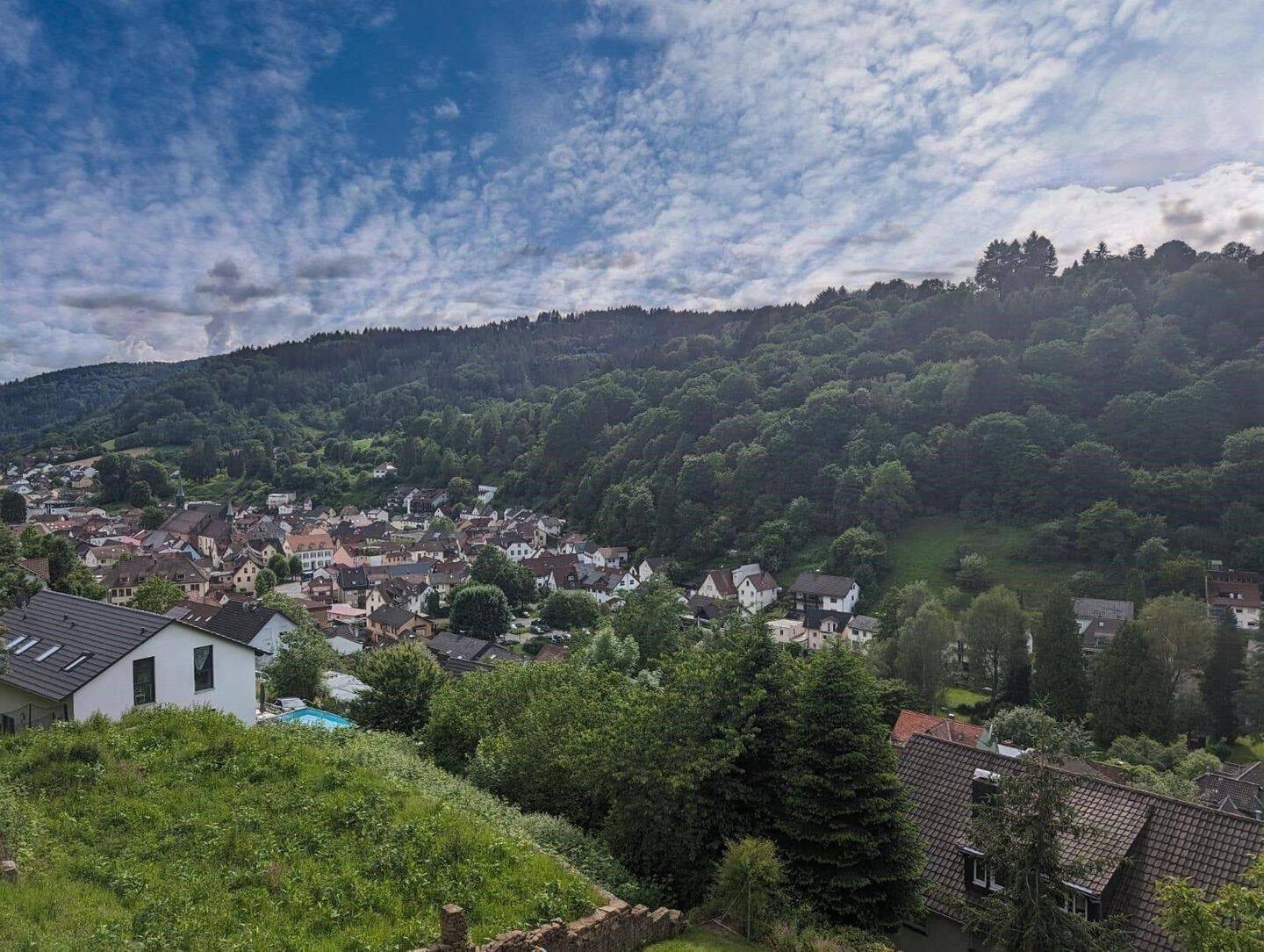 Sonniges Grundstück mit unverbaubarem mit Blick ins Tal, 69250 Schönau