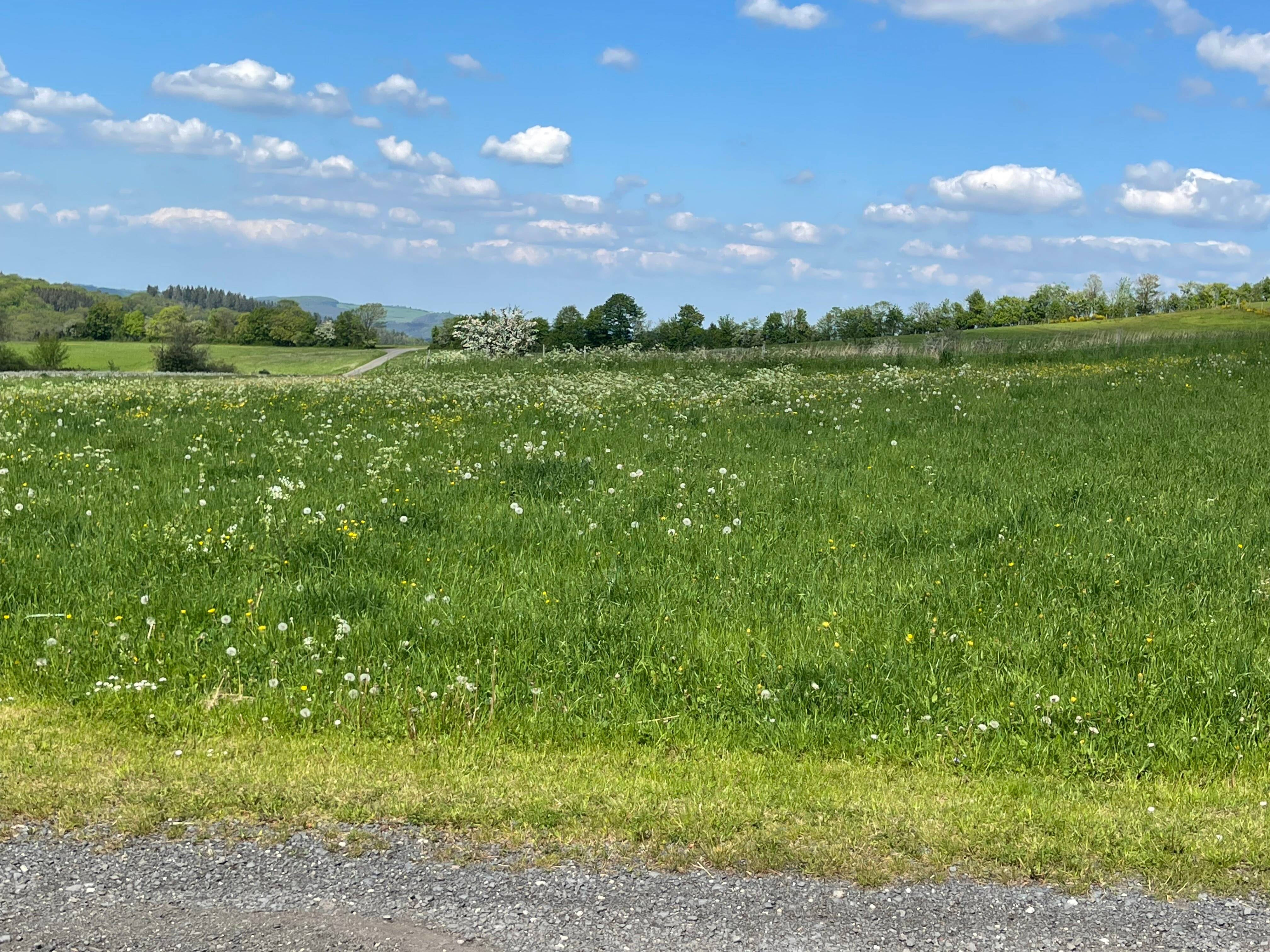 Wunderschöne sonnige Baugrundstücke in Erbbaurecht zu vergeben., 53520 Reifferscheid