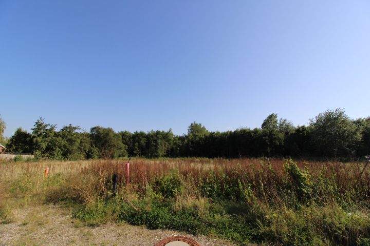 Baugrundstück mit Südausrichtung in Butjadingen-Eckwarden, 26969 Butjadingen