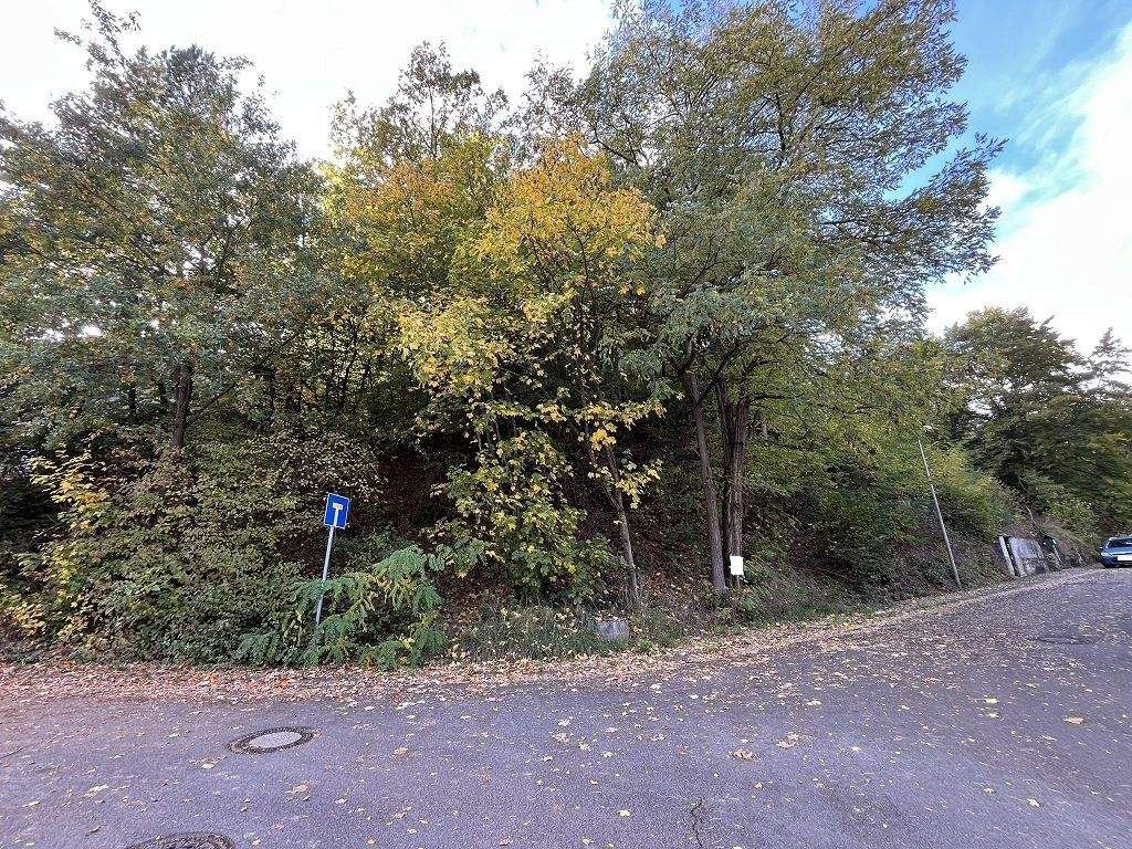 Bauplatz in Niederkirchen zu verkaufen, 67700 Niederkirchen
