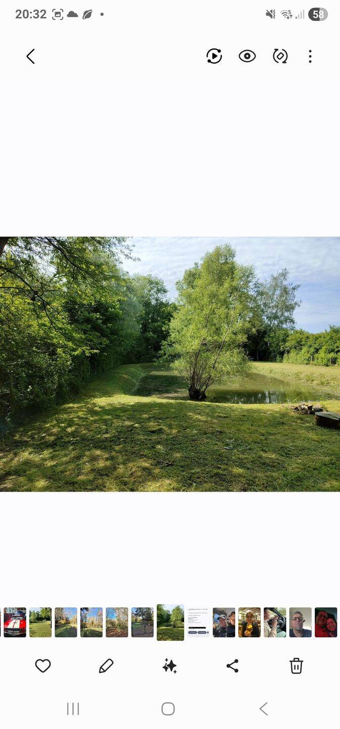 Grundstück mit See und Fischbesatz, 76473 Iffezheim