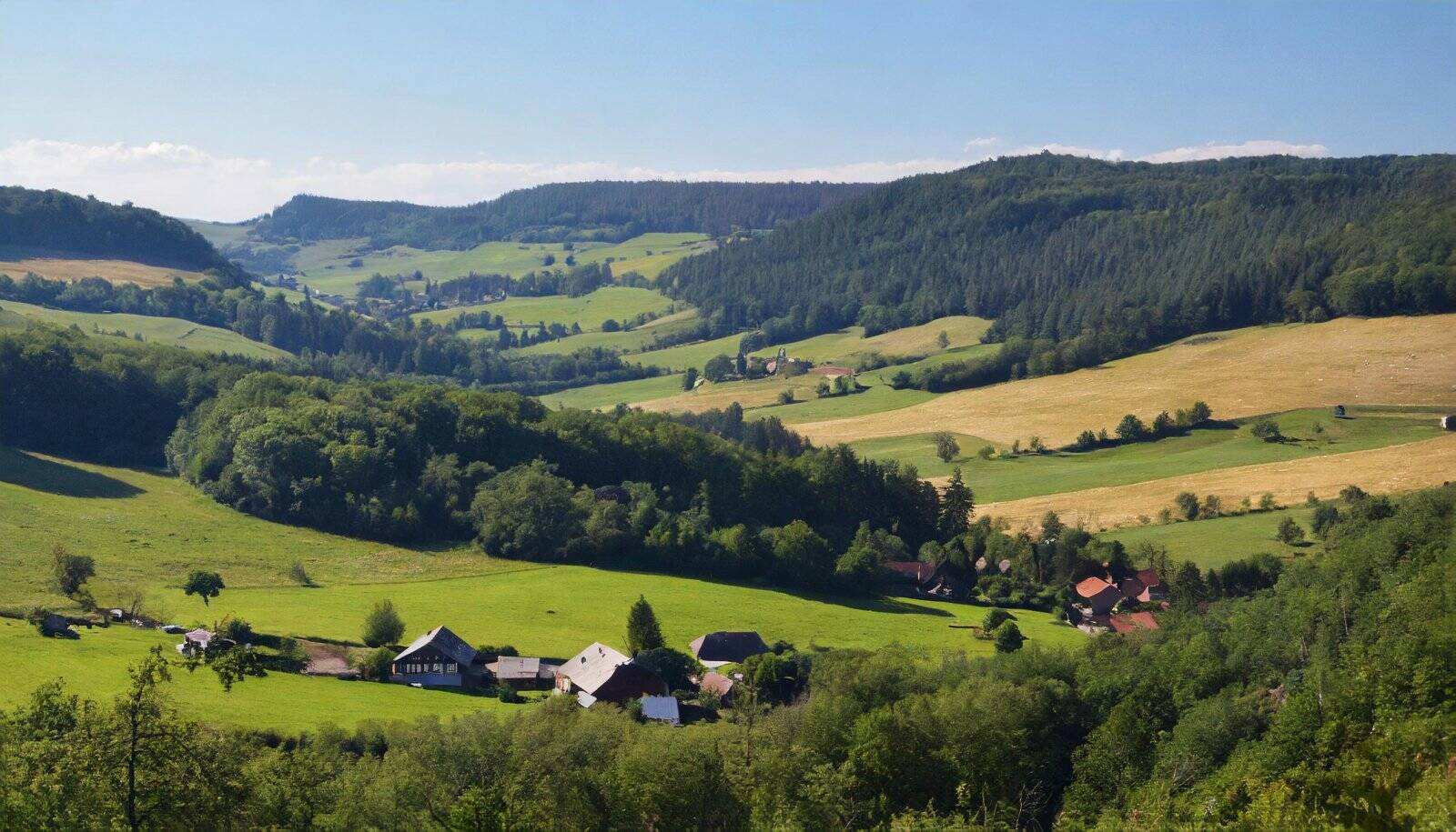 1.000 m² Baugrundstück in Sophienthal ohne Bauzwang, 95466 Weidenberg