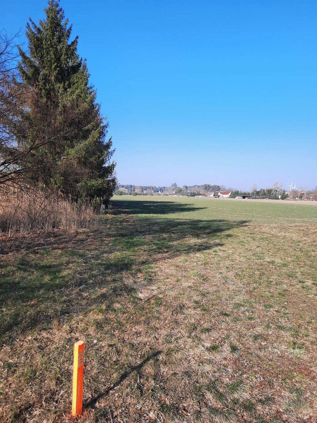 Schöne Grundstücke mit sonnigem Feldblick!, 15910 Schönwald