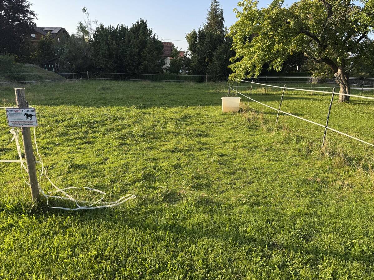 Baugrundstück in guter Lage in Steingaden, 86989 Steingaden
