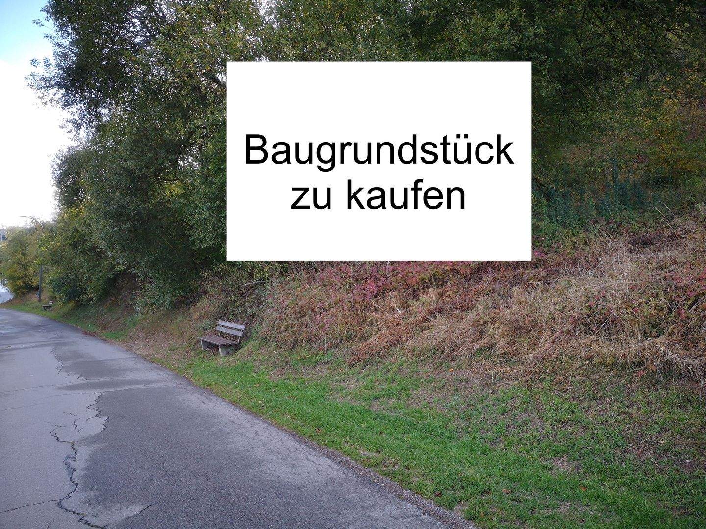 **Voll erschlossenes Baugrundstück in Schönecken Ortsrandlage zu kaufen**, 54614 Schönecken