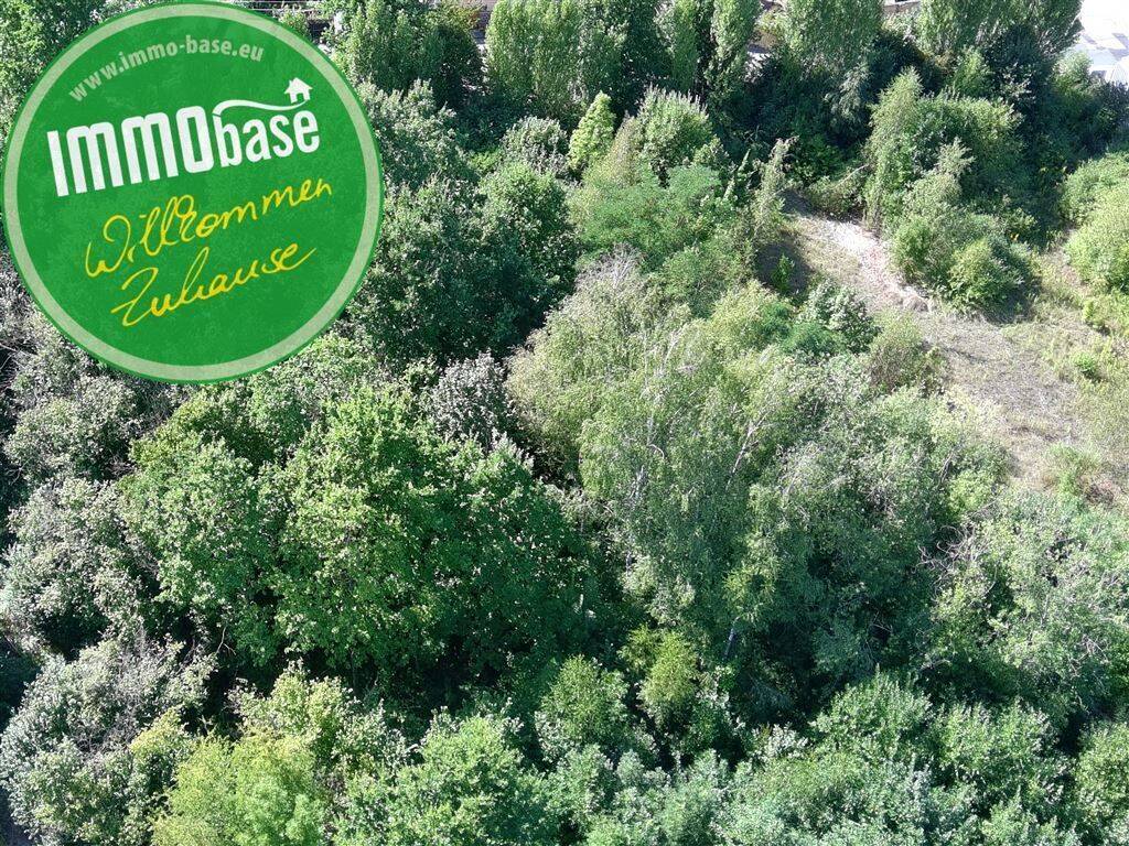 Großzügiges Entwicklungsgrundstück in ruhiger Lage von Hainichen!, 9661 Hainichen