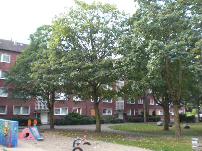 Schön geschnittene Wohnung, 47059 Duisburg (Kaßlerfeld Neuenkamp)