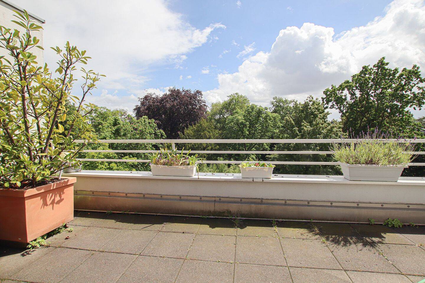 vermietete Dachterrassen-Traumwohnung mit Aufzug, 40239 Düsseldorf (Düsseltal Mörsenbroich)