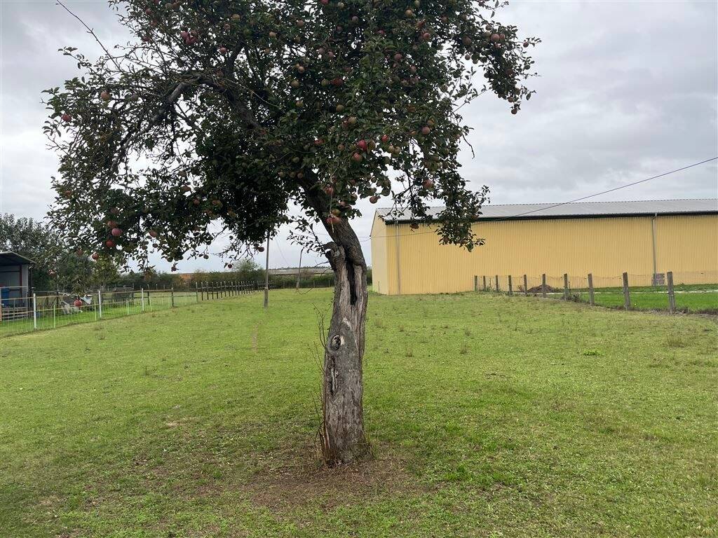 1.090 m² Baureifes Land in 04886 Nichtewitz, 4886 Arzberg