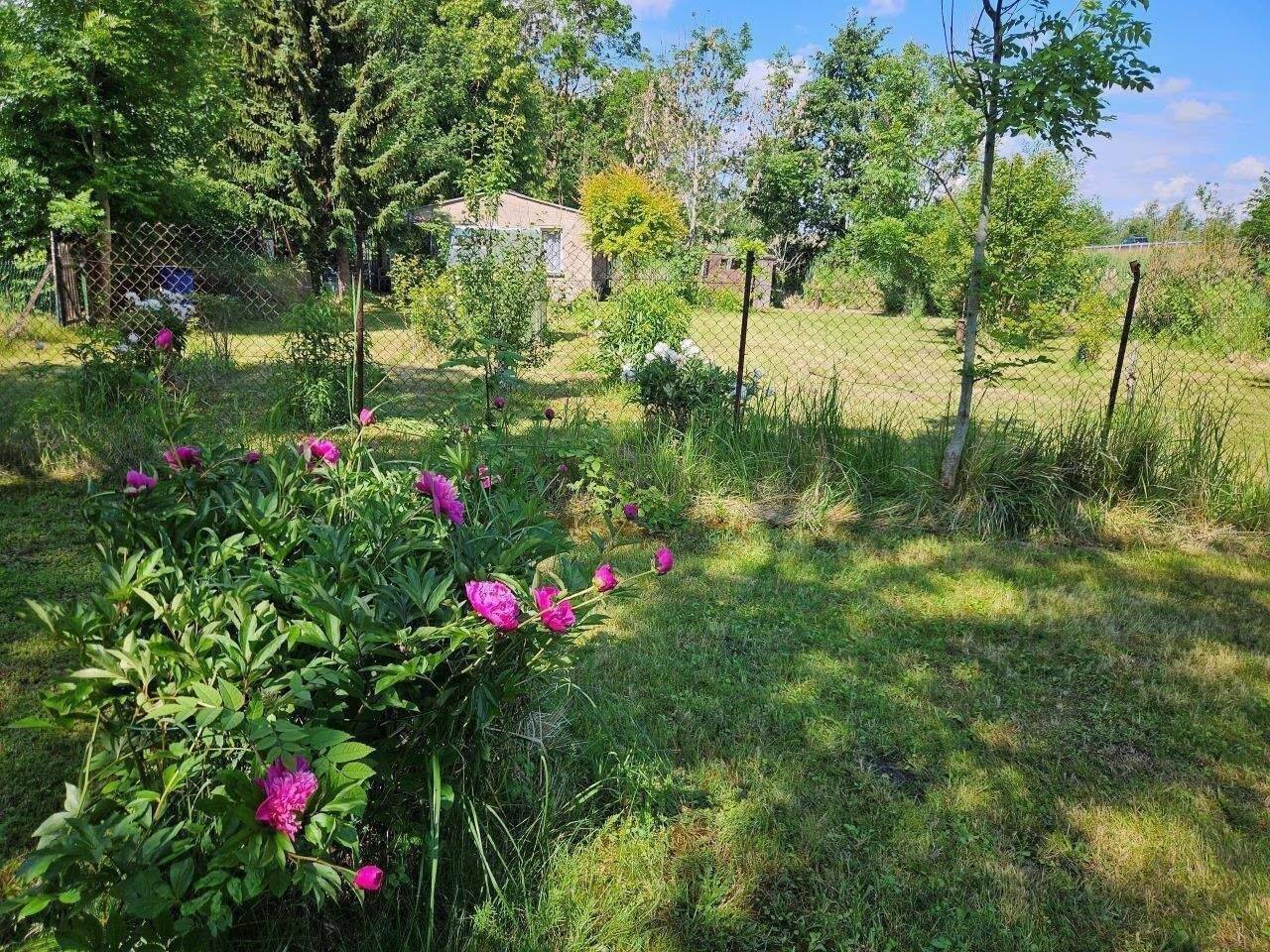 Grundstück mit Gartenlaube am Ochsengraben!, 17389 Anklam