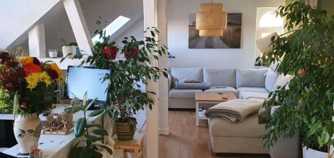 3-Zimmer-Wohnung ab 01.11.2026, 99423 Weimar (Altstadt Innenstadt Nordvorstadt Südstadt Westvorstadt)
