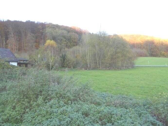 Beverungen – Grundstücke Im Roggenthal, 37688 Beverungen