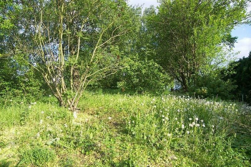 Attraktives Grundstück in bester Verkehrslage, 32694 Dörentrup