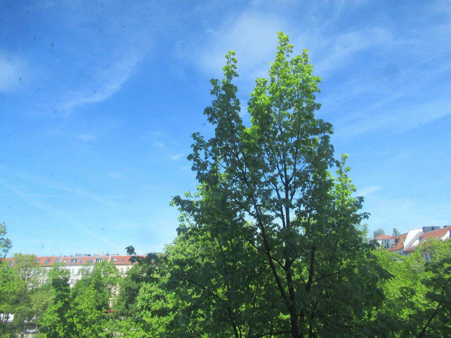 Freundliche 2-Zimmer-Wohnung in ruhiger Hinterhoflage direkt am Boxi, 10245 Berlin (Friedrichshain-Kreuzberg Friedrichshain)