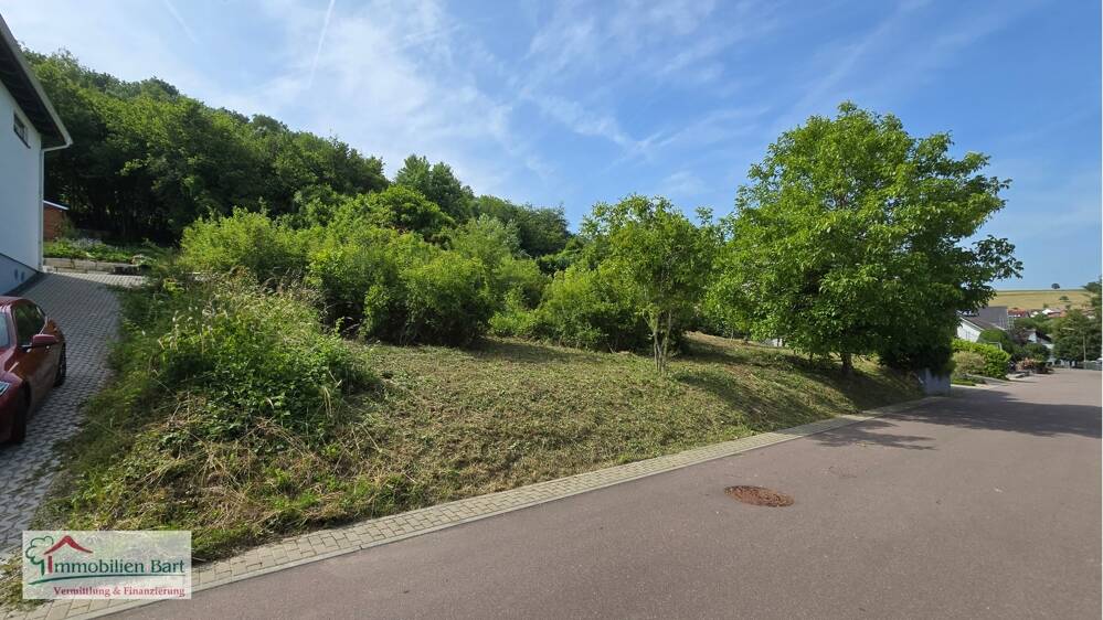 10 MIN. VON REMICH: 13 AR,/ 24 METER BREIT / SOFORT BEBAUBAR!, 54441 Kirf