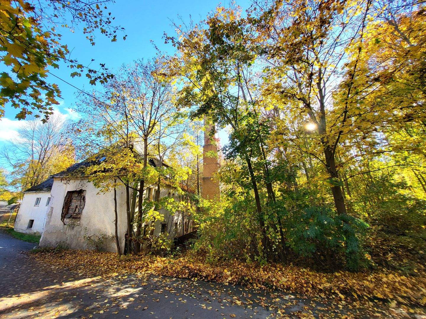 Bild 5