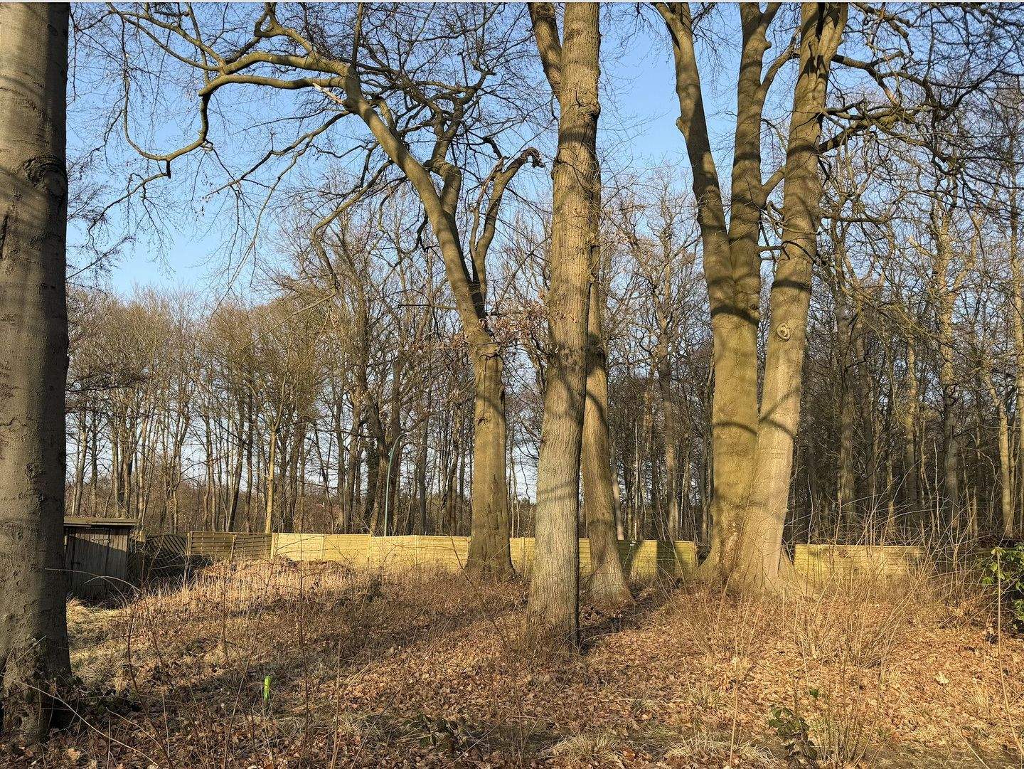 Bild 9