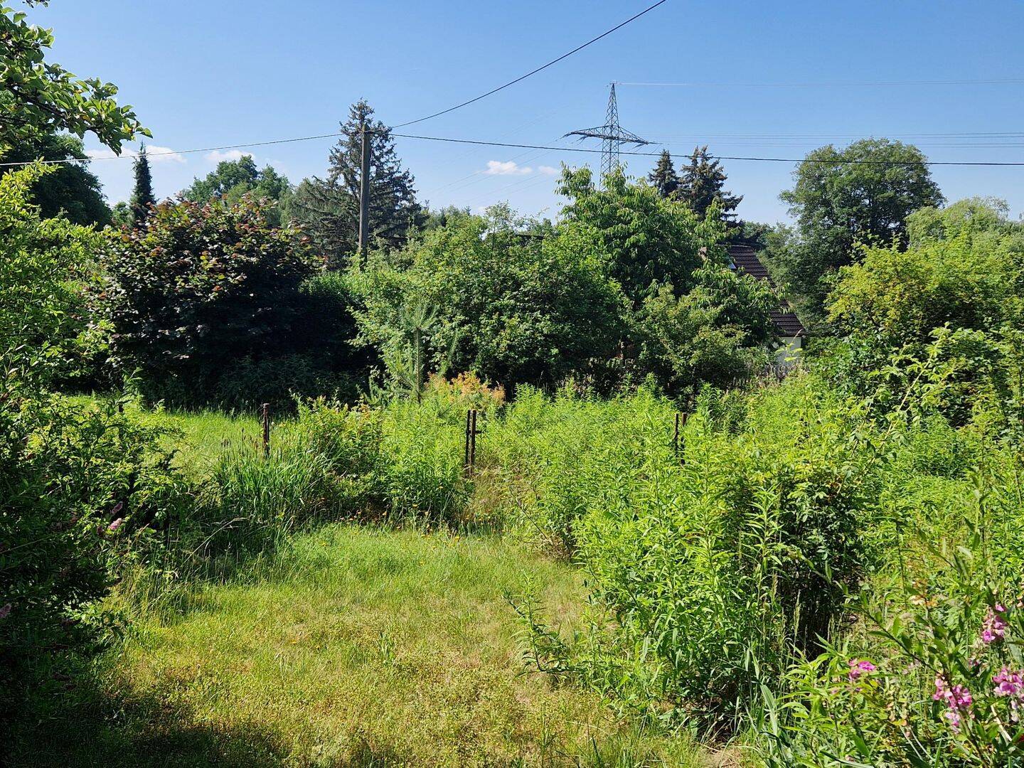 Bild 9