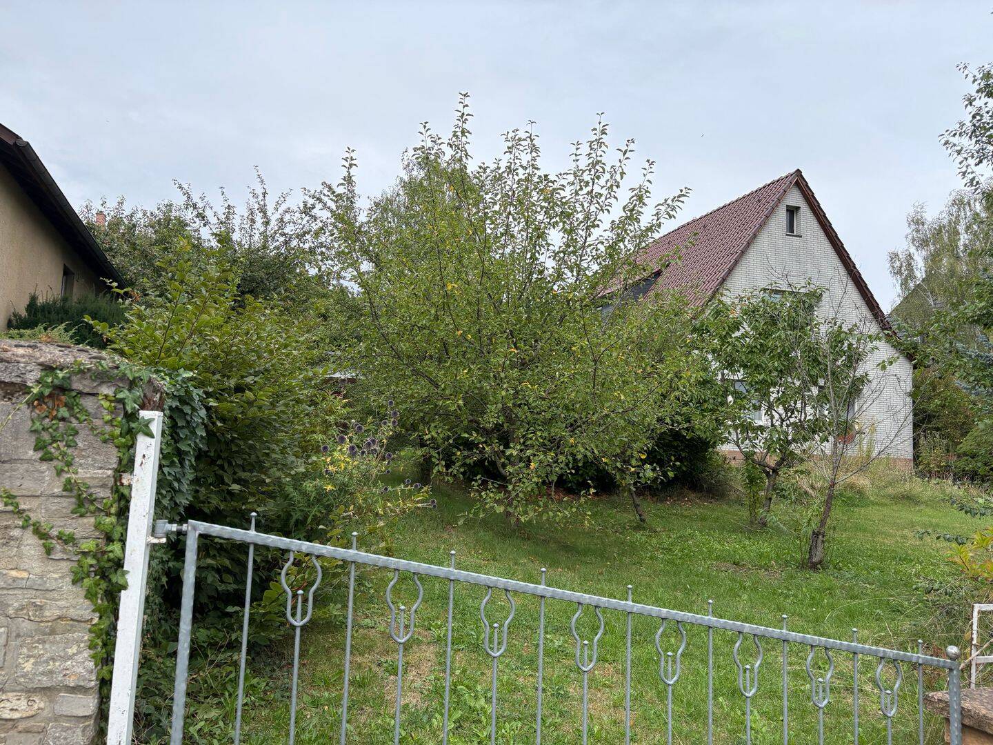 Bild 2