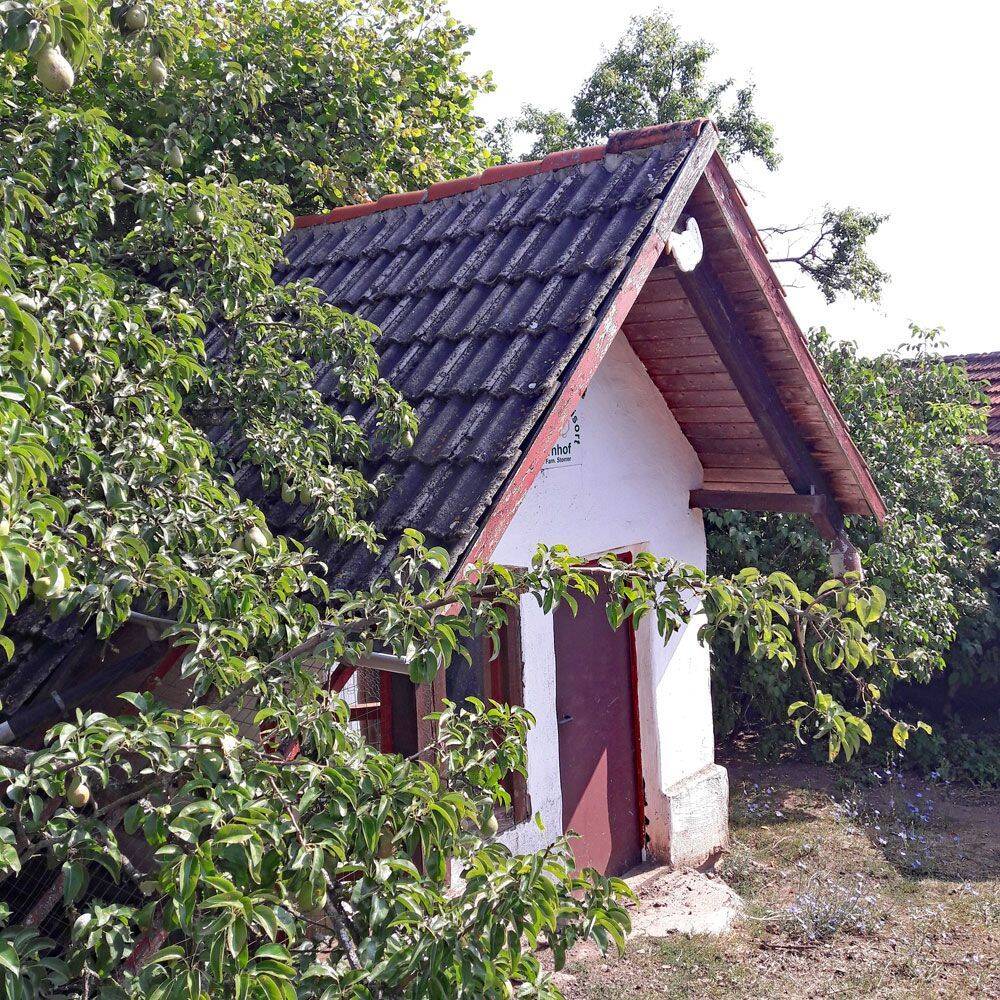 Bild 11