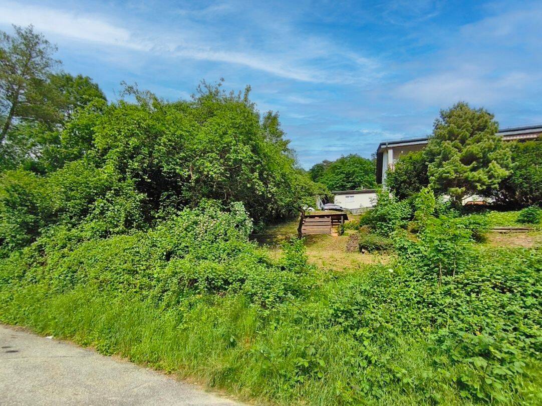 Schönau: Großzügiges Baugrundstück mit tollem Ausblick in gesuchter Lage, 69250 Schönau