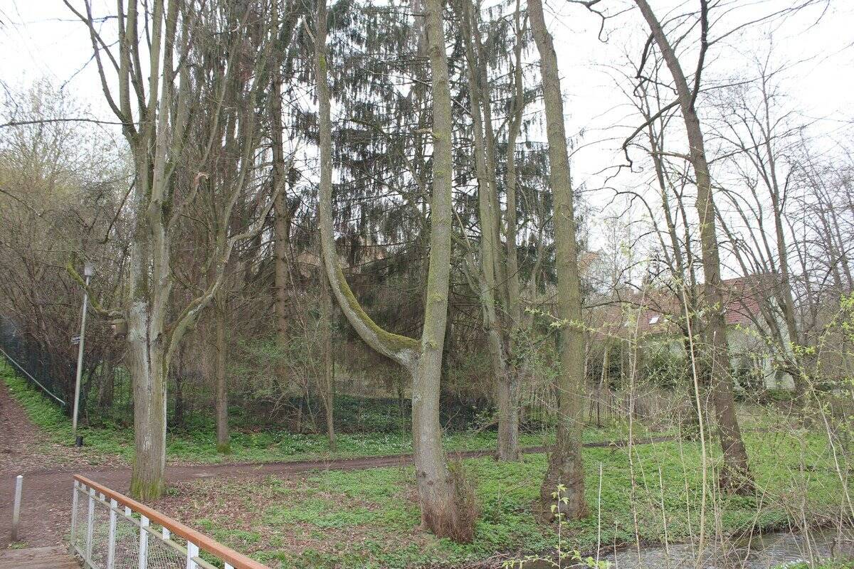 Attraktives Baugrundstück in Bad Wildungen, 34537 Bad Wildungen