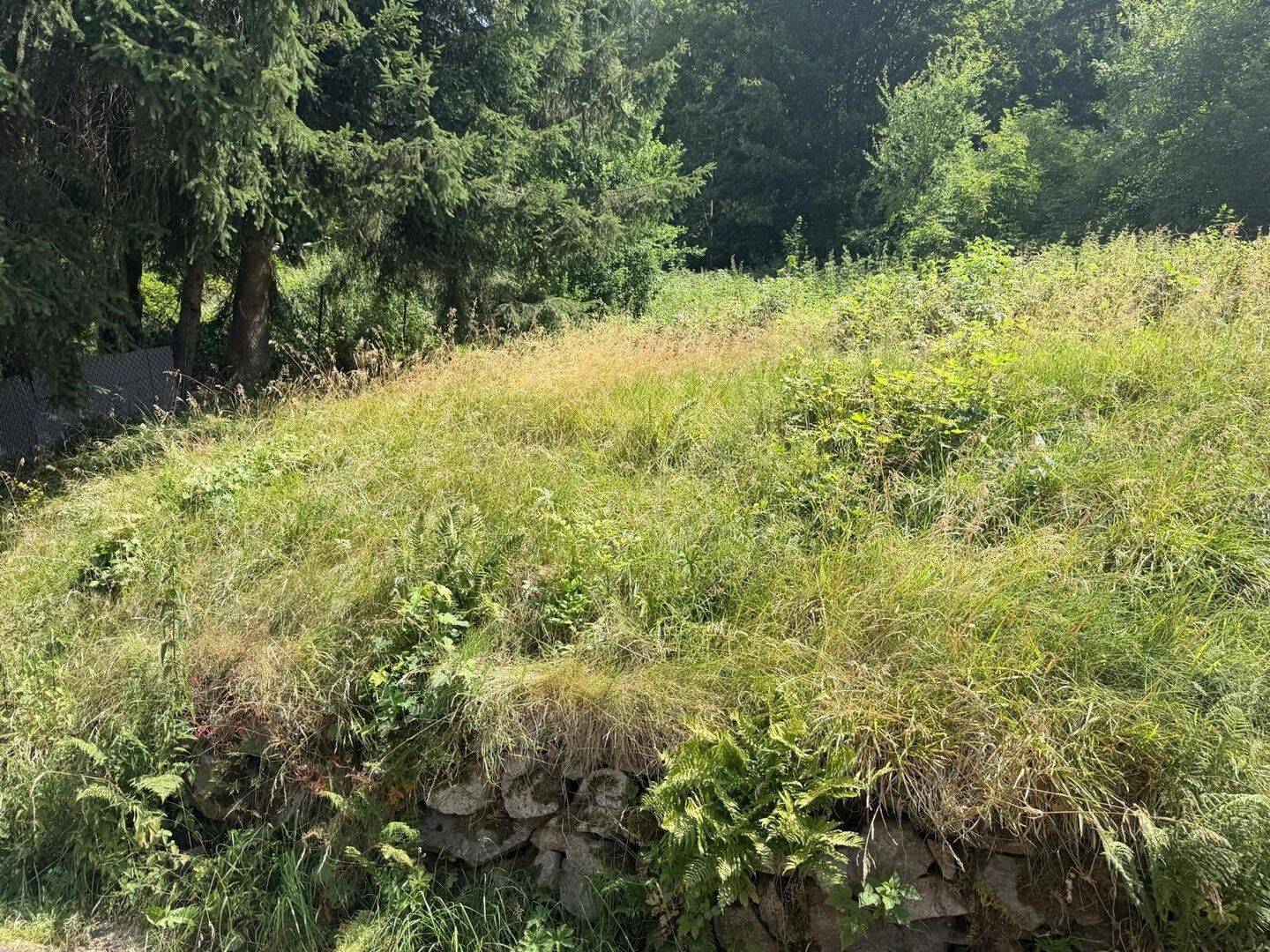 Attraktives Baugrundstück in Suhl-Goldlauter-Heidersbach, 98528 Suhl (Goldlauter Suhl Gehlberg Schmiedefeld Vesser)