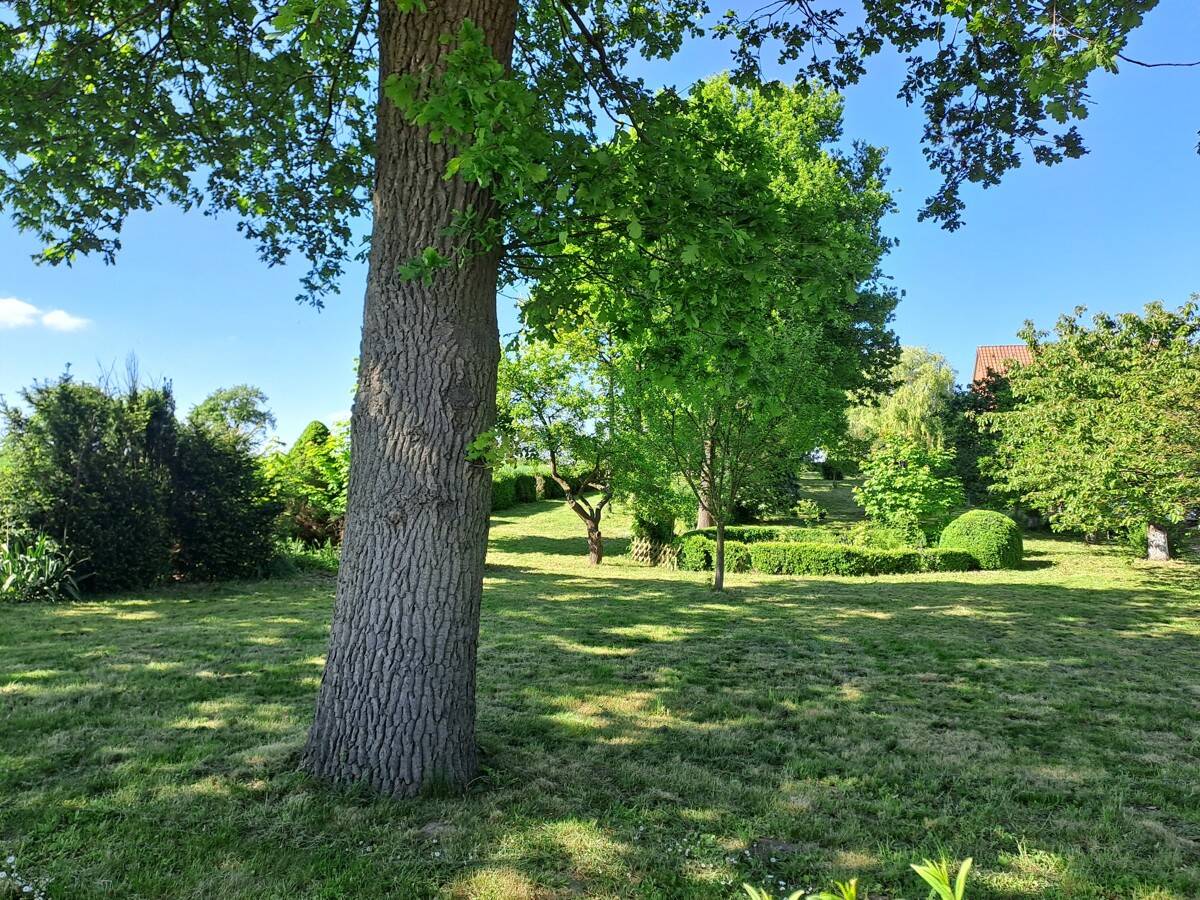 Ländliche Idylle in bester Randlage, 29591 Römstedt