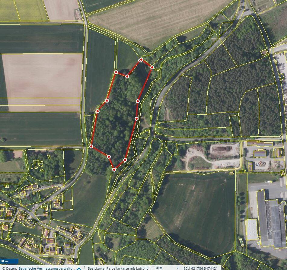 Wald 21.760 m² in Leonrod – Flurnummer 126 – gegen Höchstgebot, 90599 Dietenhofen