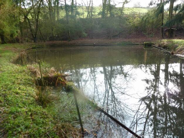 Teichanwesen mitten im Wald Südwestpfalz, 66917 Biedershausen